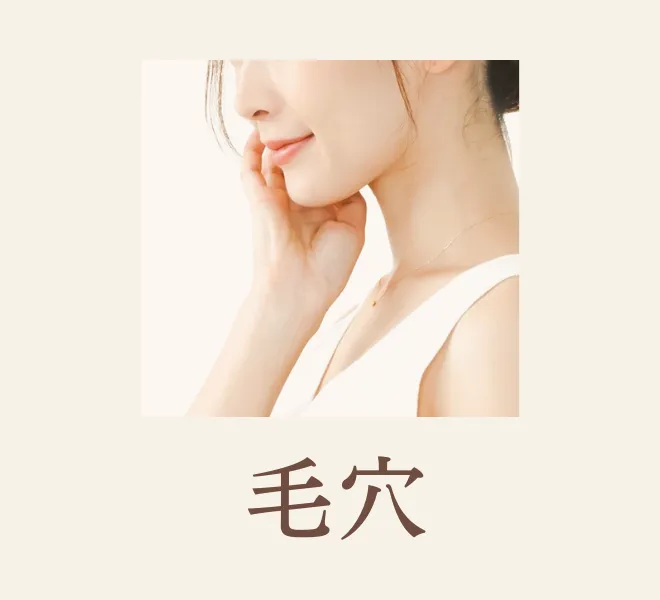 毛穴